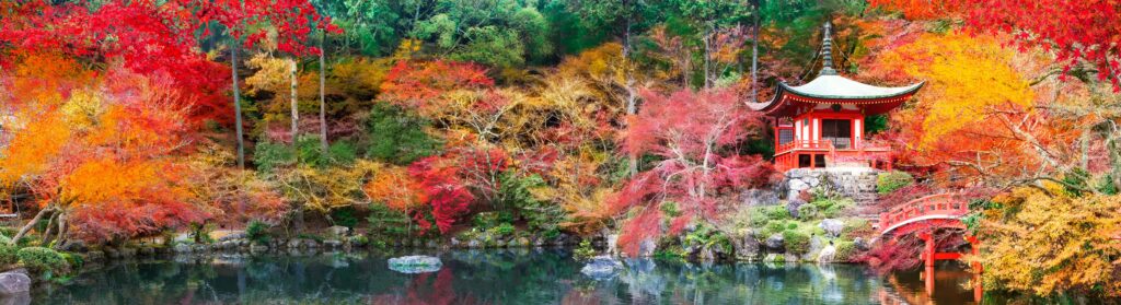 Best time to visit Japan, Luxury Holiday, Hayes & Jarvis